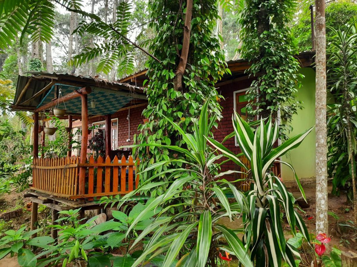 Green Heaven Lodge Ella Exteriör bild